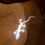 AUDI QUATTRO GECKO LOGO PROJEKTOT LIGHTS Nr.67 (Menge 1 = 2 Logo Films /2 Türlichter in der Kombi-Zone