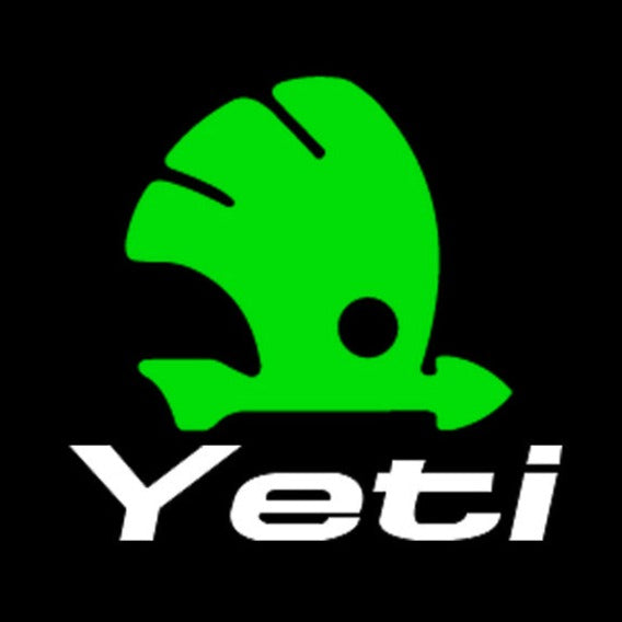 SKODA LOGO PROJECTOT LIGHTS Nr.75 (quantité 1 = 2 Logo Film / 2 feux de porte)