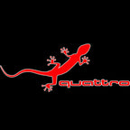 AUDI QUATTRO GECKO LOGO PROJECT LIGHT Nr.61 (quantità 1= 2 Logo Films /2 porta luci）