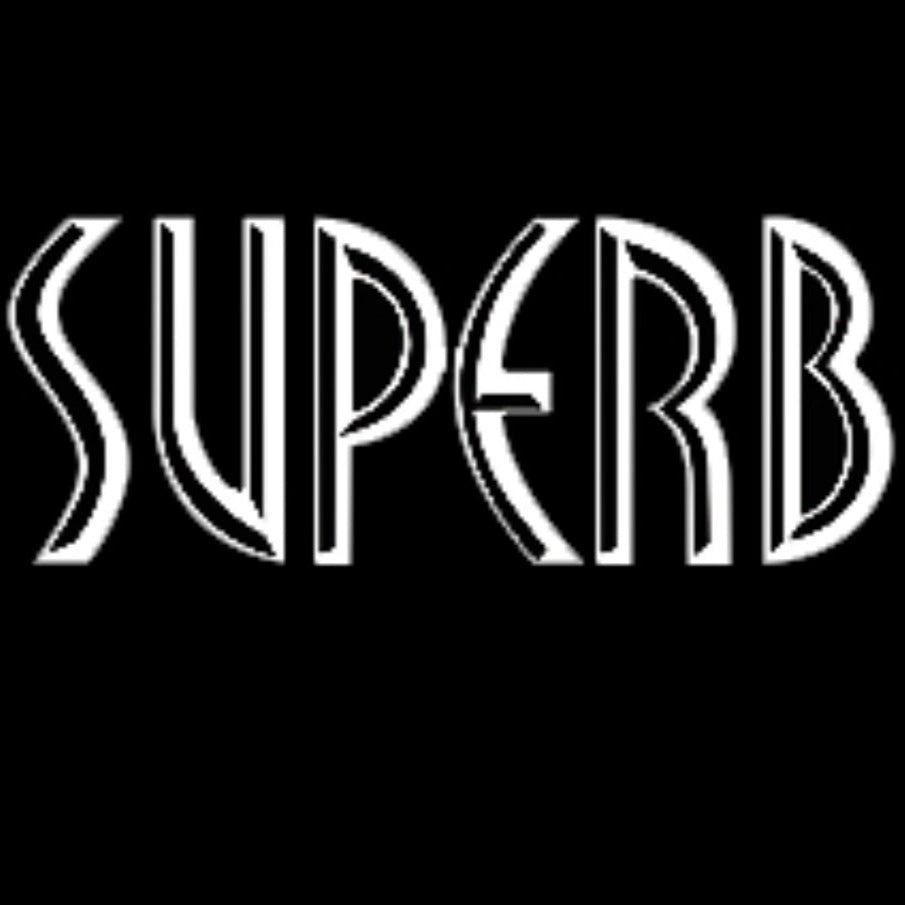 SKODA LOGO PROJECT LIGHTS Nr.90 (quantità 1= 2 Logo Film / 2 porte luci)