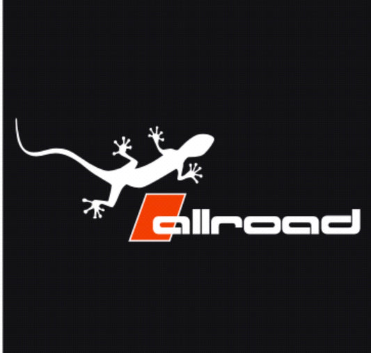 أودي ALLROAD GECKO LOGO PROJECTOT أضواء Nr.147 (كمية 1 = 2 شعار الأفلام و 2 أضواء الباب)