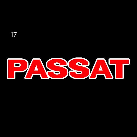 Feux de porte Volkswagen Logo PASSAT N.95 (quantité 1 = 2 films de logo / 2 feux de porte）