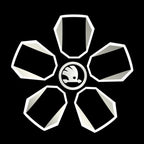 ÉCLAIRAGE DE PROJECTEUR SKODA LOGO Nr. 02 (quantité 1 = 2 film de logo / 2 lumières de porte)