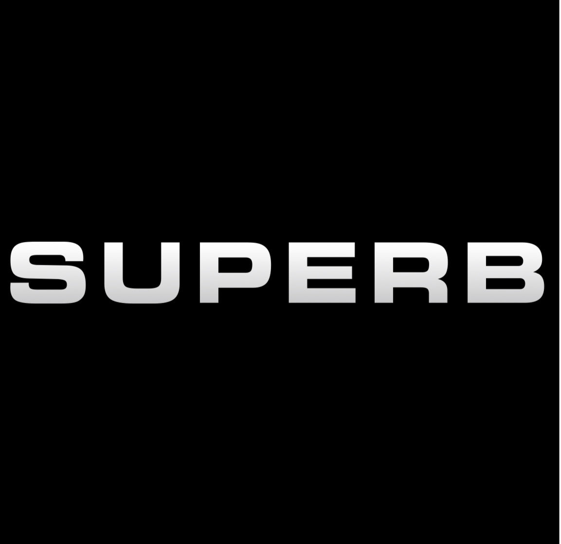 LUCI PROIETTORI LOGO SKODA Nr.94 (quantità 1 = 2 Logo Film / 2 luci porta)