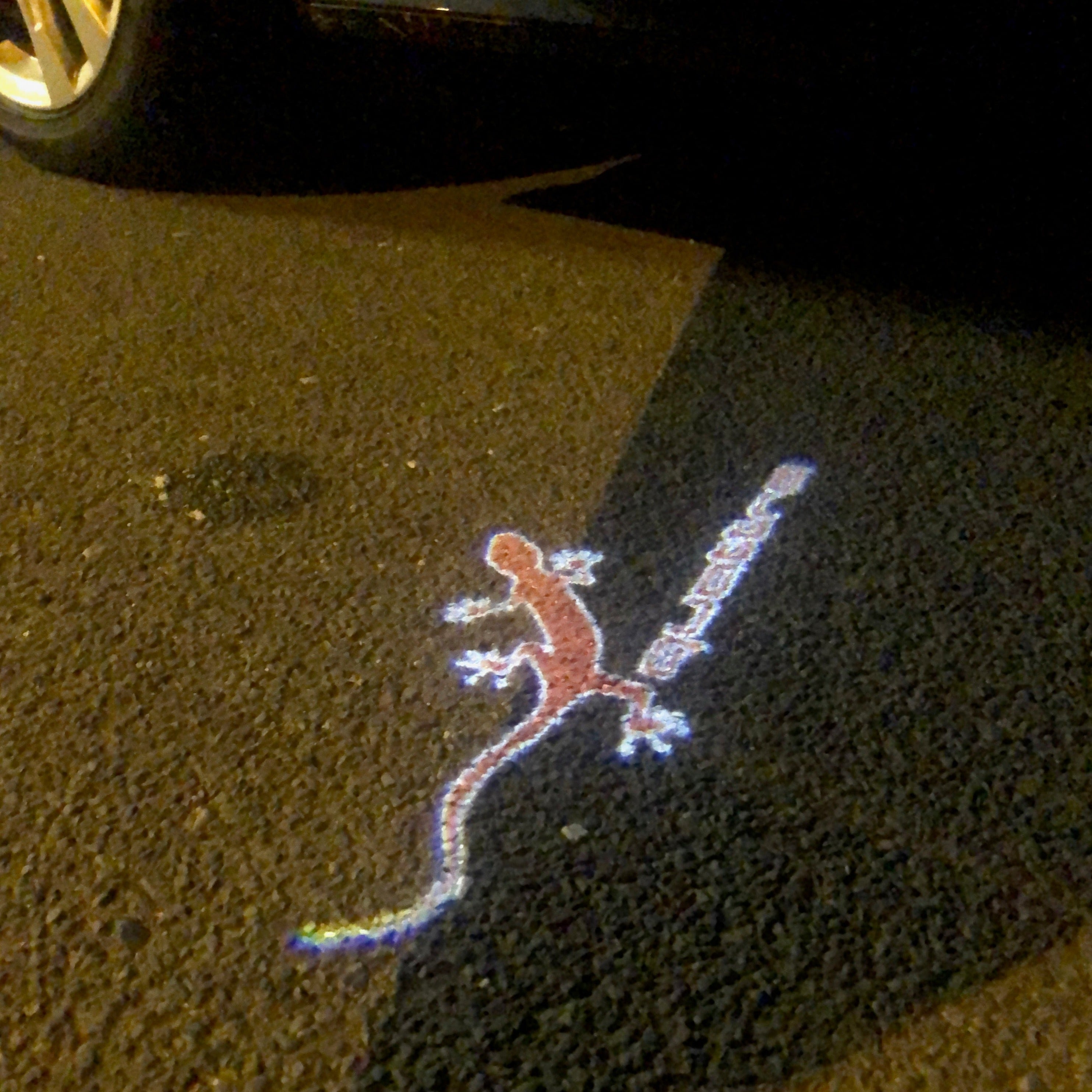 AUDI QUATTRO GECKO LOGO PROJECT LIGHT Nr.61 (quantità 1= 2 Logo Films /2 porta luci）