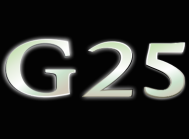 INFINITI G25 LOGO PROJECROTR LIGHTS Nr.40 (quantity 1 = 1 sets/2 door lights)