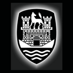 Volkswagen Door lights Logo Nr. 162 (quantità 1 = 2 pellicole logo / 2 luci porta)