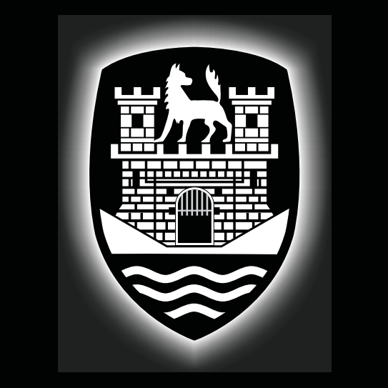 Volkswagen Door lights Logo Nr. 162 (quantità 1 = 2 pellicole logo / 2 luci porta)