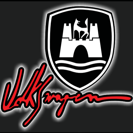 Volkswagen Door lights Logo Nr. 162 (quantità 1 = 2 pellicole logo / 2 luci porta)