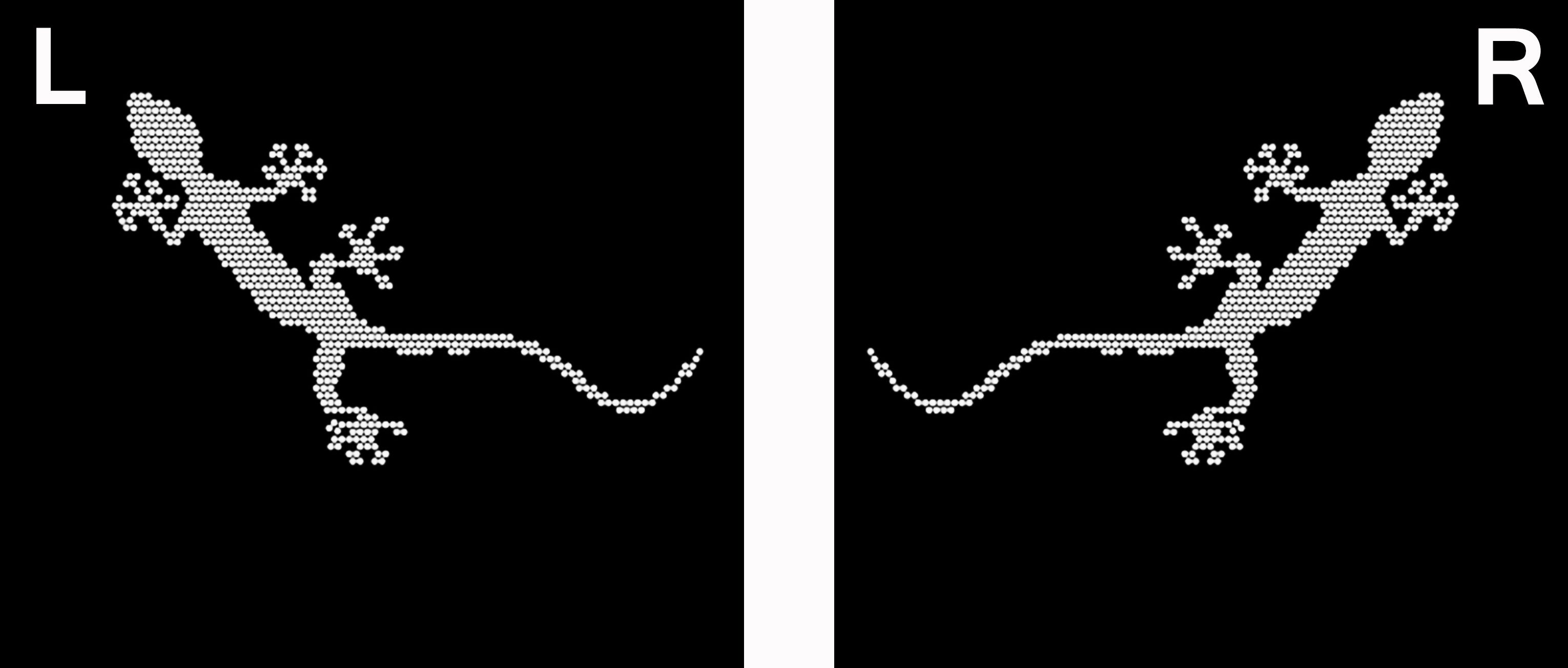 AUDI QUATTRO GECKO LOGO PROJEKTOT LIGHTS Nr.67 (Menge 1 = 2 Logo Films /2 Türlichter in der Kombi-Zone