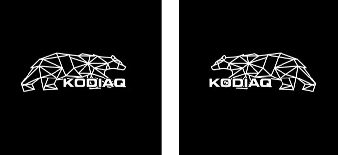 SKODA KODIAQ LOGO PROJECTOT LIGHTS Nr.68 (Menge 1 = 2 Logo Film / 2 Türlichter)
