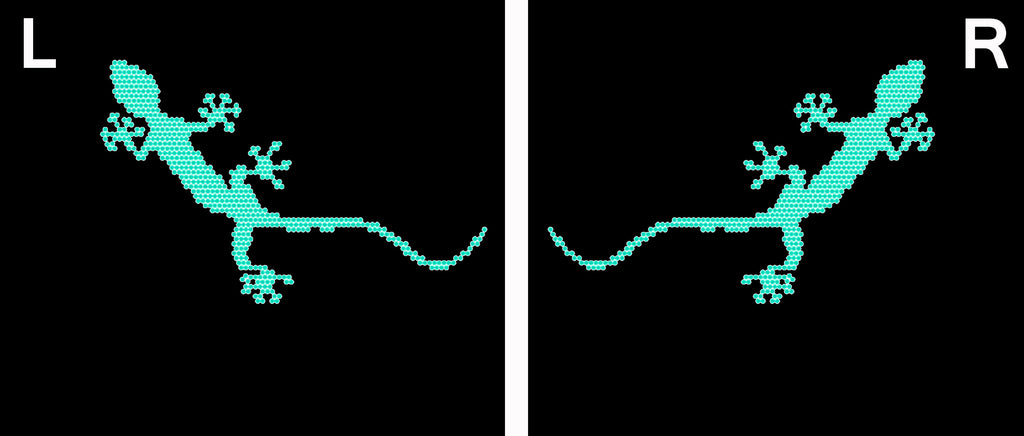 AUDI QUATTRO GECKO LOGO PROJEKTOT LIGHTS Nr.65 (Menge 1 = 2 Logo Films /2 Türlichter in der Kombi-Zone Nr.65289;