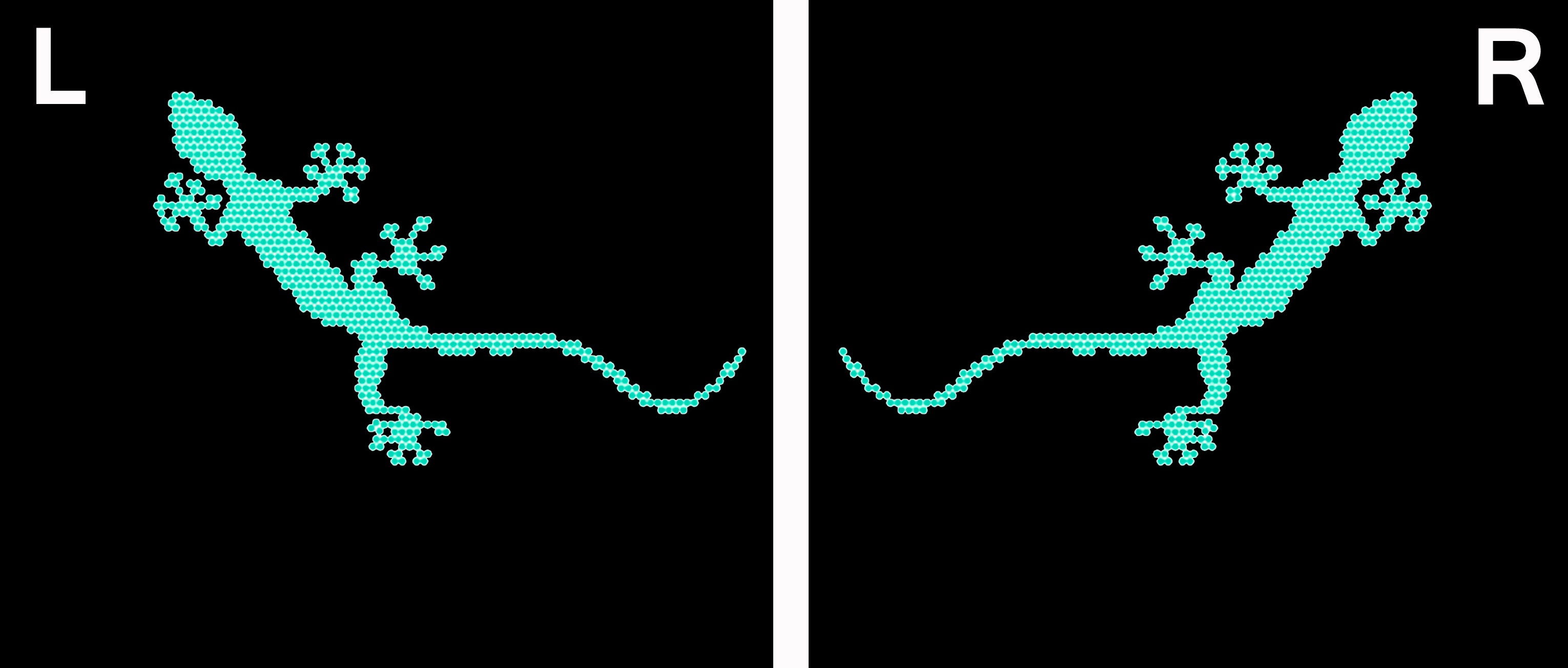 AUDI QUATTRO GECKO LOGO PROJEKTOT LIGHTS Nr.65 (Menge 1 = 2 Logo Films /2 Türlichter in der Kombi-Zone Nr.65289;