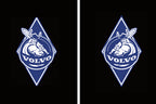 Volvo Original  LOGO PROJECROTR LIGHTS Nr.137 (quantity  1 =  2 Logo Film /  2 door lights)