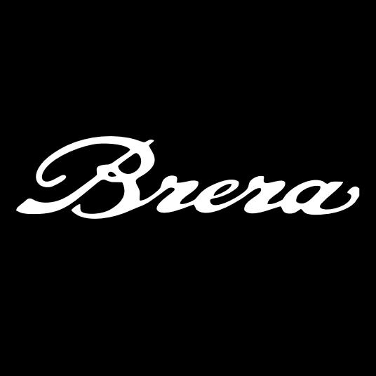Alfa Romeo BRERA LOGO PROJECTOR LIGHTS Nr.102 (الكمية 1 = 2 شعار فيلم / 2 مصباح باب)