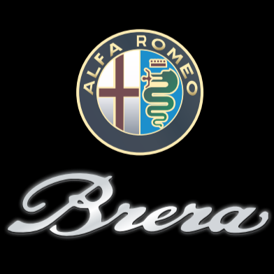 LUCI PROIETTORI LOGO Alfa Romeo BRERA Nr.103 (quantità 1 = 2 Logo Film / 2 luci porta)