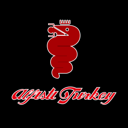 Alfa Romeo LOGO PROJECTOR LIGHTS Nr.106 (Menge 1 = 2 Logo Film / 2 Türlichter)