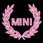 MINI LOGO PROJECROTR LIGHTS Nr.92 (Menge 1 = 2 Logo Film / 2 Türlichter)