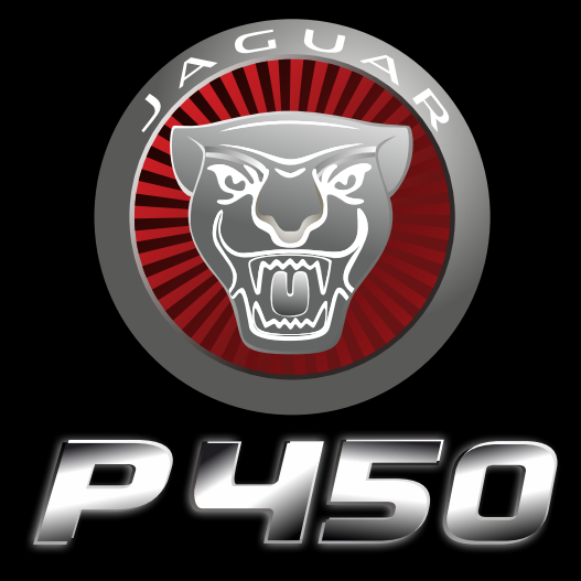 JAGUAR LOGO PROJECROTR LUCI Nr.95 (quantità 1 = 1 set / 2 luci porta)