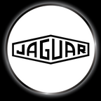 JAGUAR LOGO PROJECROTR LIGHTS Nr.11 (quantità 1 = 1 set/2 luci porta)