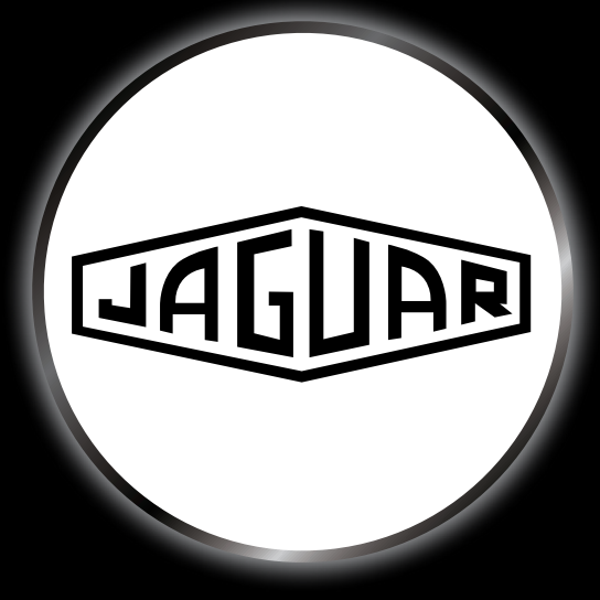 JAGUAR LOGO PROJECROTR LIGHTS Nr.11 (quantità 1 = 1 set/2 luci porta)