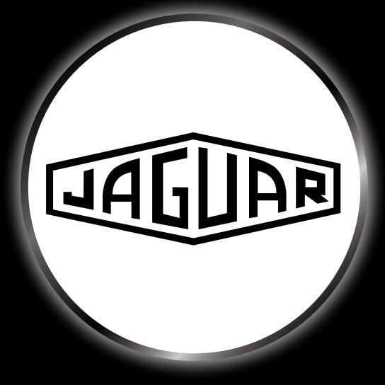 JAGUAR Original LOGO PROJECROTR LIGHTS Nr.11 (quantity 1 = 1 sets/2 door lights)